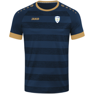 MAILLOT CELTIC